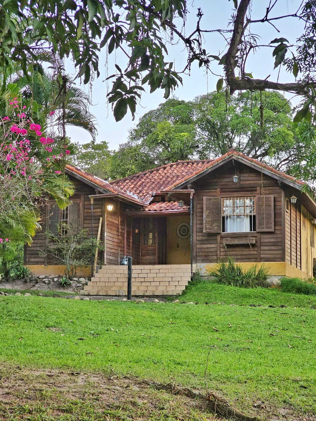 Cabana de madeira da casa-filha entre as árvores, com buganvílias rosa florindo no jardim