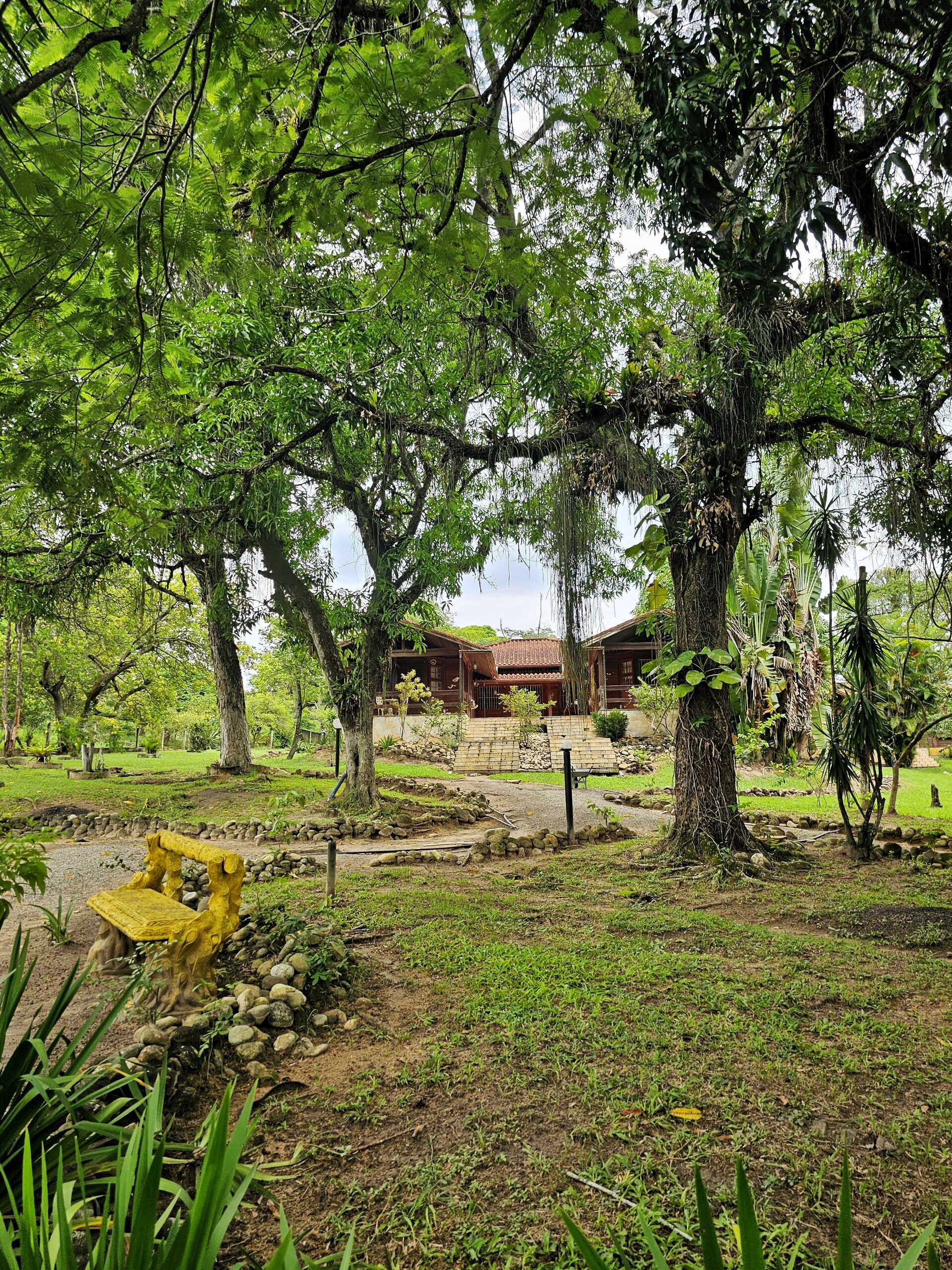 Casa de madeira do Espaço Néktar vista entre árvores, com banco amarelo no jardim