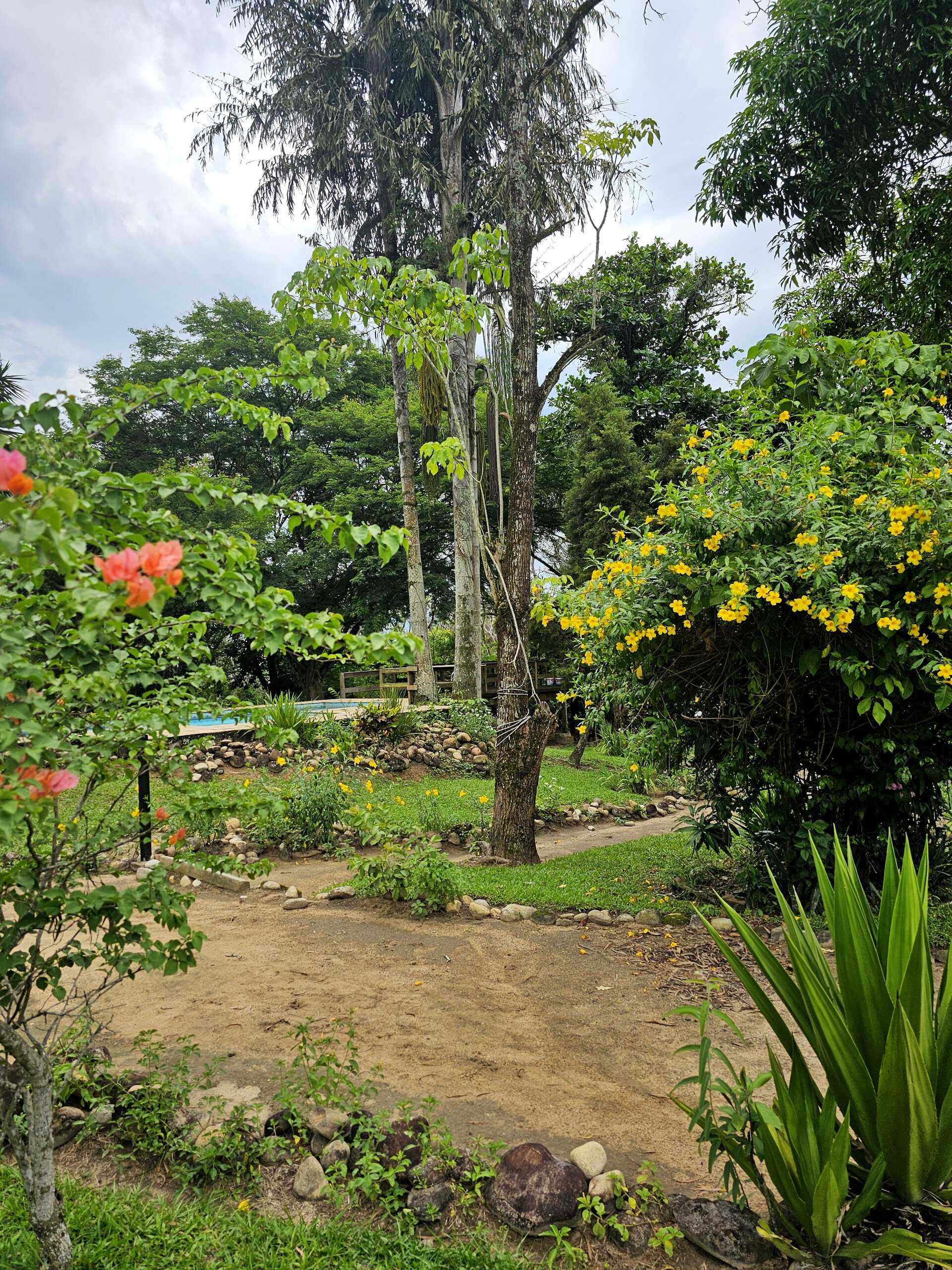 Jardim com hibiscos e vista para a piscina