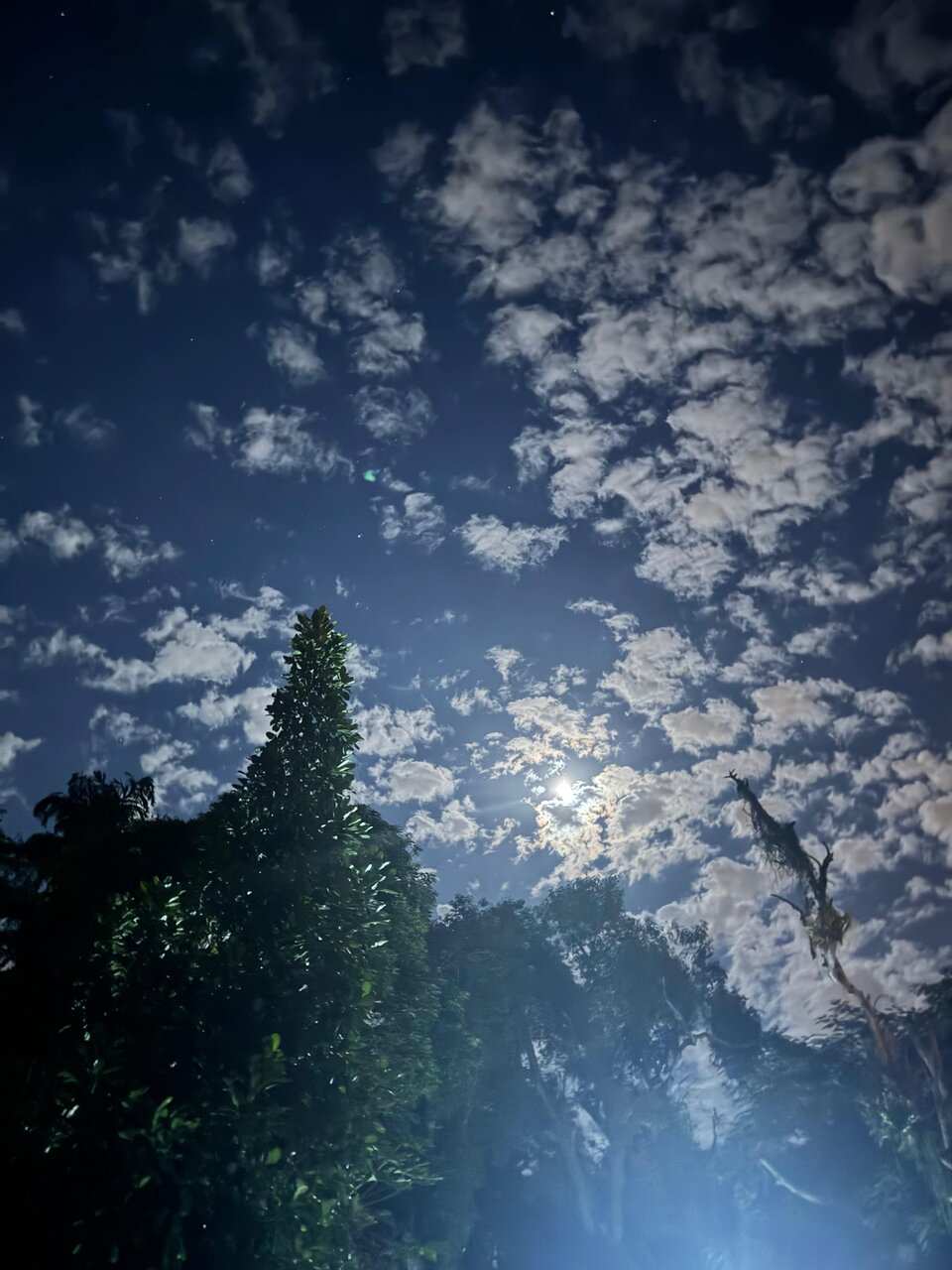Lua cheia entre nuvens e árvores no Espaço Néktar